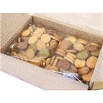 10種の豆乳おからクッキー 500g*2袋