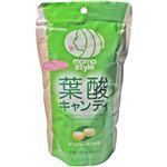 葉酸キャンディ ジンジャーエール味 94g 【11セット】