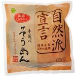 即席手延べにゅうめん 自然派宣言 90g 【10セット】