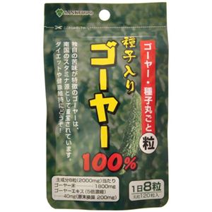 種子入り ゴーヤ100% 120粒入 【2セット】