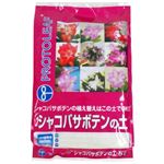 プロトリーフ シャコバサボテンの土 5L 【3セット】