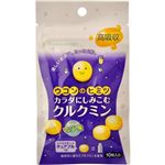 ウコンのヒミツ カラダにしみこむクルクミン チュアブル 10粒入り 【4セット】