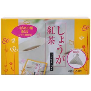 本草 しょうが紅茶 3g*20包 【2セット】