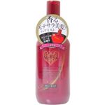 AYP エンジェルハート モイスチャライジングヘアミスト 200ml 【2セット】
