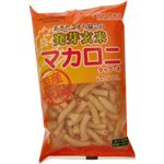 発芽玄米 マカロニ タイプ 大 150g 【30セット】 【パスタ】