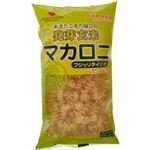 発芽玄米 マカロニ フジッリタイプ 大 150g 【30セット】 【パスタ】