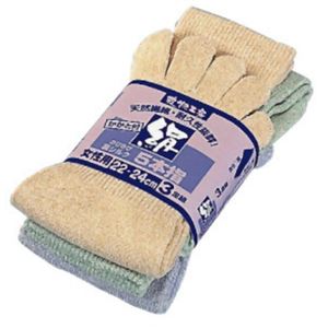 爽快工房 のびのび裏シルク5本指カカト付 3足入 #6257 色込み 女性用 【3セット】