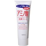 マンダム アミノ酸洗顔フォーム 100g 【9セット】