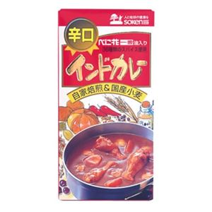 創健社 インドカレー(辛口) 115g 【5セット】