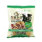 創健社 お湯かけ麺(化学調味料不使用) シーフードしおラーメン 78g 【10セット】