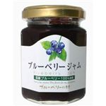 国産ブルーベリージャム 140g 【3セット】