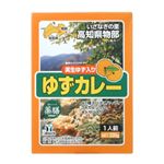 実生ゆず入り ゆずカレー 200g 【4セット】