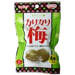 素材のこころ カリカリ梅 4個入*10袋セット 【9セット】