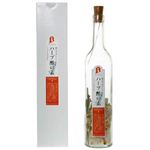 ハーブ酢の素 レモングラス&オレンジ 120g 【2セット】