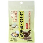 オリヒロ にんにく卵黄油フックタイプ 60粒 【3セット】