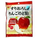 ノーベル すりおろしりんごのど飴 【16セット】