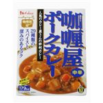 カリー屋 カレー ポーク 中辛 200g 【28セット】