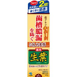 （まとめ買い）ひきしめ生葉 100g×4セット