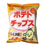 サンコー ポテトチップス しお味 65g 【20セット】