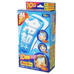 熱とりタックん 大人用 12枚 【10セット】