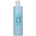 ねば塾 しらかばシャンプーSS 400ml 【4セット】