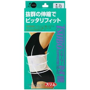 �c�{�T�|�[�^�[DX ���p�X���� LL�摜����1