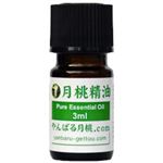 （まとめ買い）エッセンシャルオイル 月桃 3ml×2セット