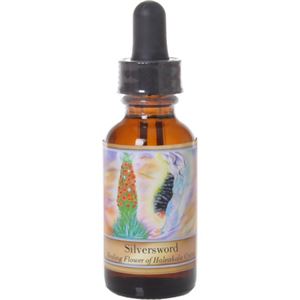 パワー オブ フラワー ヒーリング シルバーソード 30ml