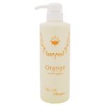 アランジュ 06シャンプー 500ml (ノンシリコンシャンプー)