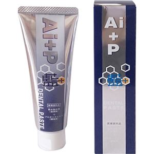 （まとめ買い）Ai+Pデンタルペースト 100g×2セット