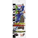 DSISソルボ サッカー L(27.5-29.0cm) 1足入