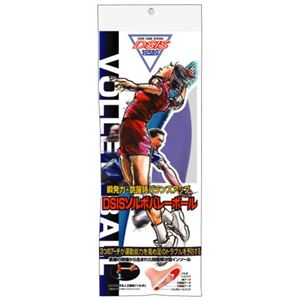 DSISソルボ バレーボール M(25.0-26.0cm) 1足入