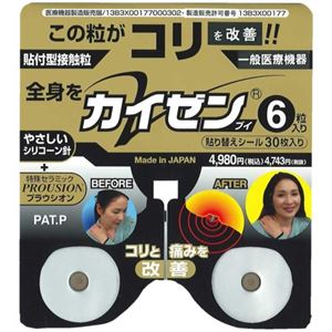 カイゼンV 6粒入 貼り替えシール30枚付