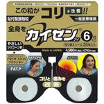 カイゼンV 6粒入 貼り替えシール30枚付