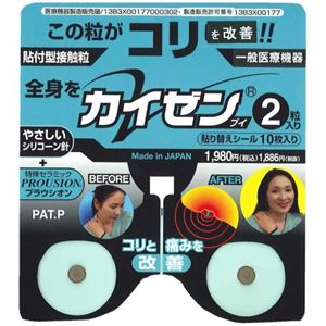 カイゼンV 2粒入 貼り替えシール10枚付