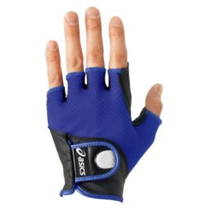 �A�V�b�N�X �O���E���h�S���t ���Εt���t�B���K�[�O���[�u GGG624 �u���[ S�摜����1