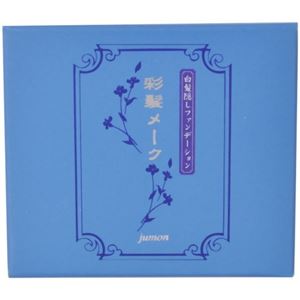 彩髪メーク グレーブラック つめかえ用 13.5g画像１