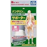 バンテリンコーワサポーター女性 腰用 大きめ(L)ホワイト 1枚入
