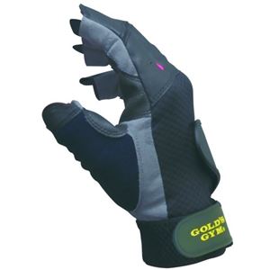 �S�[���h�W�� �v�����f�B�X�O���[�u M�摜����1