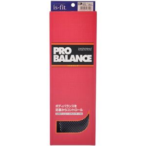 is-fit PRO BALANCE�C���\�[�� �����p M-L 24.0-25.0cm�摜����1