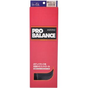 is-fit PRO BALANCE�C���\�[�� �����p S-M 22.0-23.5cm�摜����1