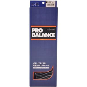 is-fit PRO BALANCE�C���\�[�� �j���p S 24.0-25.0cm�摜����1