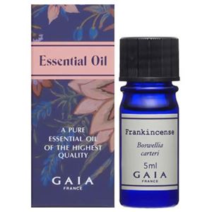 （まとめ買い）ガイア エッセンシャルオイル フランキンセンス 5ml×2セット