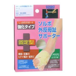 �\���{ �O������T�|�[�^�[�Œ�^ ���� L�摜����1