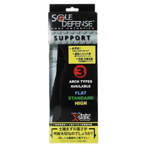 �\�[���f�B�t�F���X�E�y���܂��������~�� �X�^���_�[�h�A�[�` L�摜����1