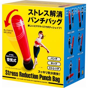 ニーズ ストレス解消パンチバッグ エアーポンプ+リペアキット付