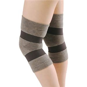 ����Ȃ��G�i�Ђ��j�p�T�|�[�^�[ 2���g L�摜����1