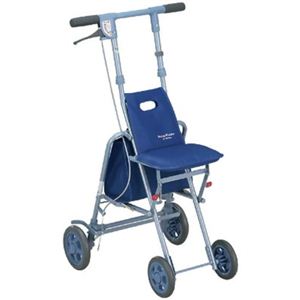 サニーウォーカーAS-III ブルー画像１