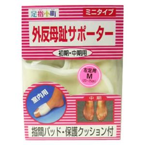 ���w���� �O������T�|�[�^�[�~�j�^�C�v ��M�摜����1