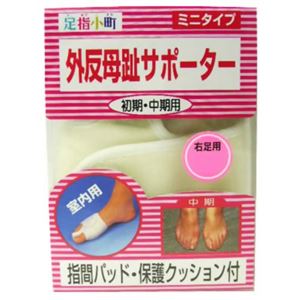 ���w���� �O������T�|�[�^�[�~�j�^�C�v �EL�摜����1